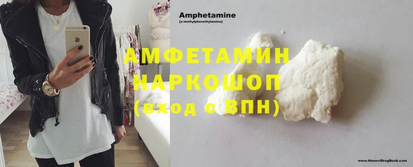 молекула духа Арсеньев