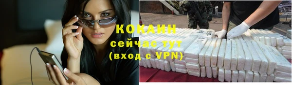 молекула духа Арсеньев