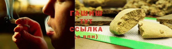молекула духа Арсеньев