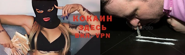 молекула духа Арсеньев