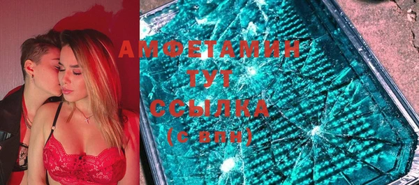 молекула духа Арсеньев