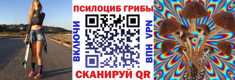 Псилоцибиновые грибы Cubensis  KRAKEN ССЫЛКА  Среднеколымск 